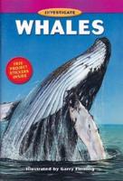 Bcp Investigate Series: Whales