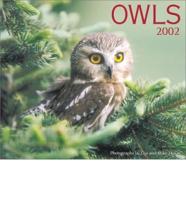 Owls Calendar. 2002