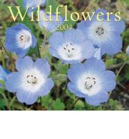 Wildflowers Calendar 2004