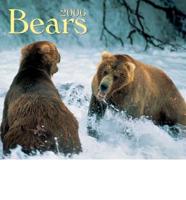 Bears 2006 Calendar