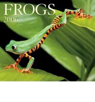 Frogs 2006 Calendar