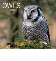 Owls 2006 Calendar