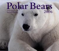 Polar Bears 2006 Calendar
