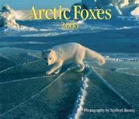 Arctic Foxes 2006 Calendar