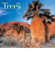 Trees 2006 Calendar