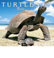 Turtles 2006 Calendar
