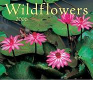 Wildflowers 2006 Calendar