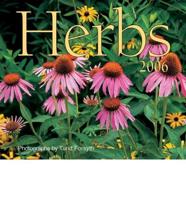 Herbs 2006 Calendar