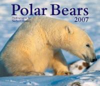 Polar Bears 2007 Calendar