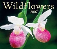 Wildflowers 2007 Calendar