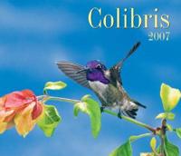 Colibris 2007 Calendar