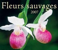 Fleurs Sauvages 2007 Calendar