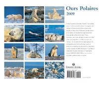 Ours Polaires 2009 Calendar
