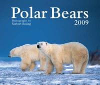 Polar Bears 2009 Calendar