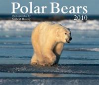 Polar Bears 2010