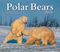 Polar Bears 2011 Calendar
