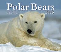 Polar Bears 2013 Calendar