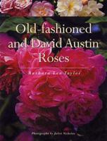 Old-Fashioned and David Austin Roses