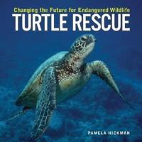 Turtle Rescue