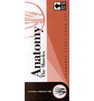 Anatomy: The Muscles, VIS-Ed Cards (Set of 250)