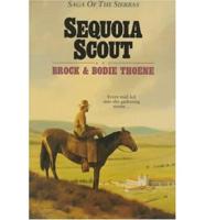 Sequoia Scout