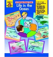 Life in the Ocean Science Picture Cards