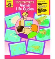 Animal Life Cycles /Picture Cards (24 Cards)