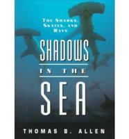 Shadows in the Sea