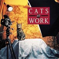 Cats at Work