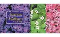 American Wildflowers