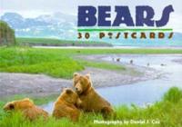 Bears Postcard Book
