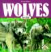 Wolves for Kids