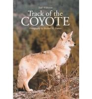 Track of the Coyote