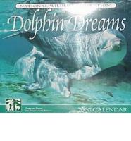 Dolphin Dreams 2000 Calendar