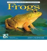 Frogs 2000 Calendar