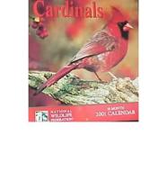 Cardinals 2001 Calendar