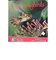 Hummingbirds 2001 Calendar