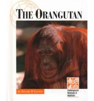 The Orangutan