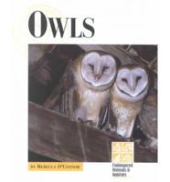 Owls