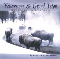 Yellowstone & Grand Teton