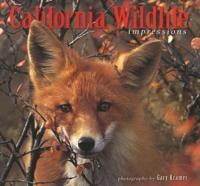 California Wildlife Impressions