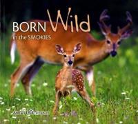 Born Wild in the Smokies