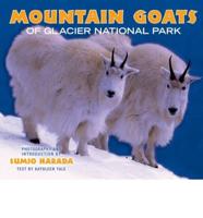 Mountain Goats of Glacier National Park