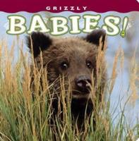 Grizzly Babies!