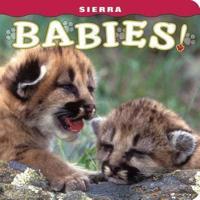 Sierra Babies!