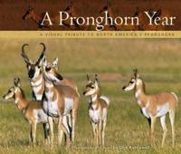 A Pronghorn Year