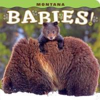 Montana Babies!