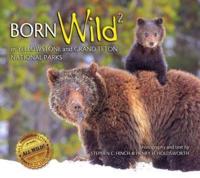 Born Wild² in Yellowstone and Grand Teton National Parks
