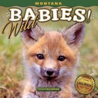 2022 Montana Wild Babies Mini Wall Calendar