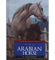 The Arabian Horse